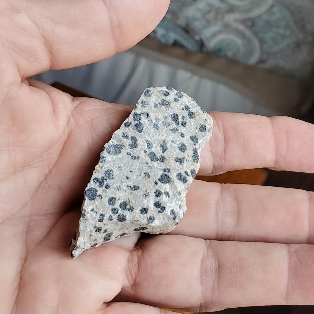 #6 Dalmatian Jasper Gemstone